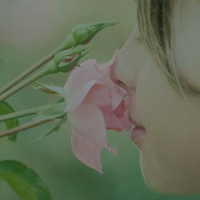 元香香精-香味好